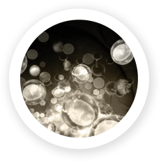 Regenerative Medicine Icon